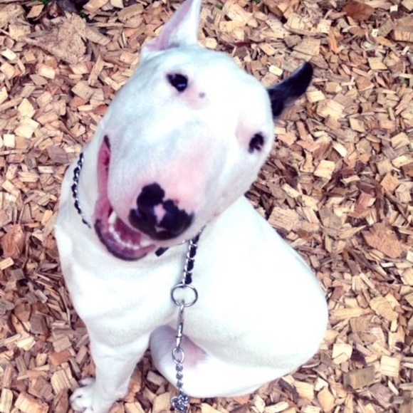 Meet your Posher, J - Picture 1 of 2